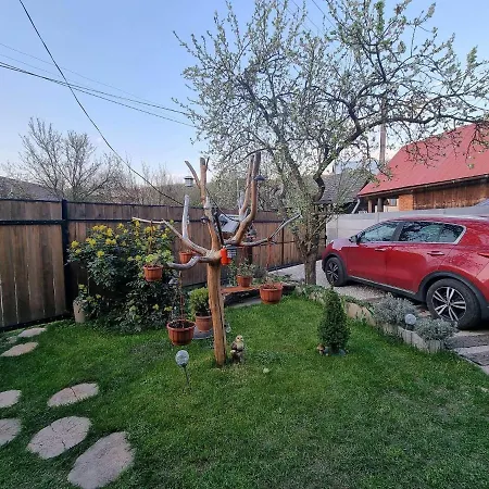 Drevenica Na Považí * Dolna Marikova